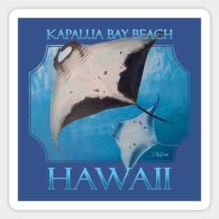 Kapalua Bay Beach Hawaii Manta Rays Sea Rays Ocean Magnet